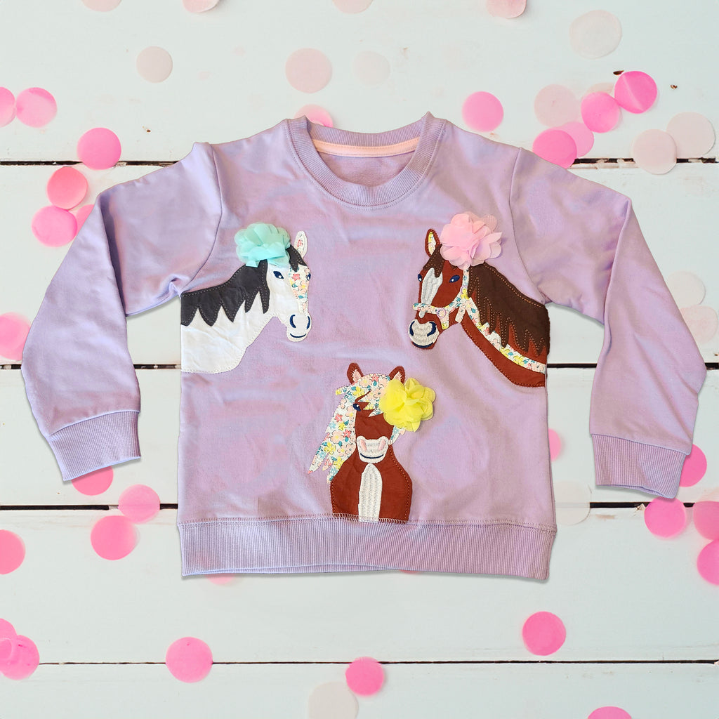 Pony Party Applique Pullover